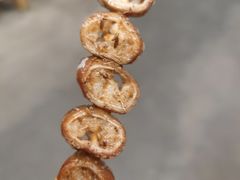 肥肠-京朋串屋·烧烤(望京西路总店)