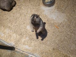 -酷嗒动物文化乐园(cutezoo西溪乐天城店)