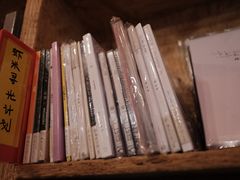 -独音唱片 Indie Music