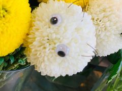 -杭州街角花屋花店(闻堰店)