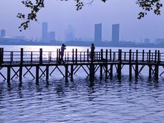 -瑶湖郊野森林公园