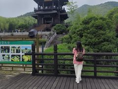-大唐贡茶院