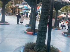-海合安成都极地海洋公园