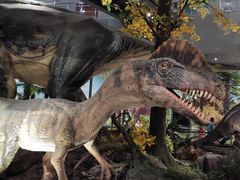 -湖南省地质博物馆