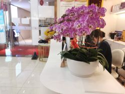 -丽美妍医疗美容·皮秒·立体分层抗衰