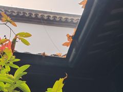 -胡雪岩故居
