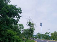 -羊山湖公园