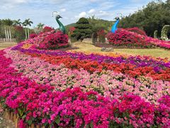 -东南花都花博园