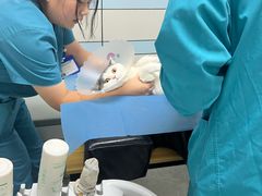-中农国际动物医院24小时·猫科·骨科·急重症中心