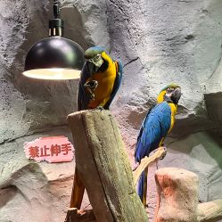 -Zoolung Zoolung动物主题公园(海信广场店)