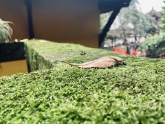 -涂山寺素食餐厅