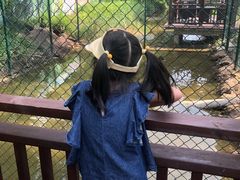 -黄海国家森林公园