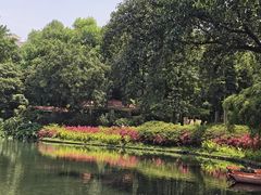 -晓港公园