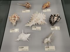 -天津古林古海岸遗迹博物馆