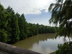 -上海海湾国家森林公园