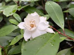 -苏浙汇(古北店)