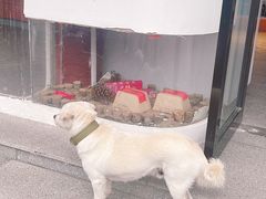 -同里景区古镇游客中心