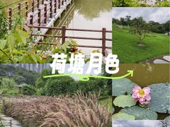 -广西壮族自治区药用植物园