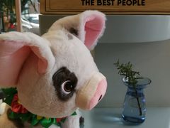 -WHEN PIGS FLY当猪飞