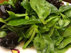 -燕风楼烤鸭店(建设总店)