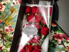 -ROSEONLY诺誓(青岛万象城店)