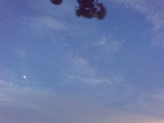 -北海金海湾红树林生态旅游区