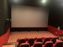 -中影嘉华国际影城(大芬星都里店)