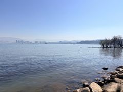 -洱海月湿地公园