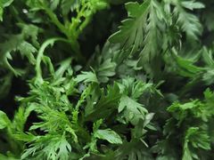 -红鼎豆捞·非遗鲍皇汤火锅(宝丰路店)