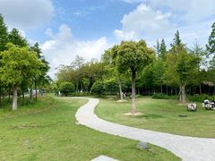-上海长兴岛郊野公园