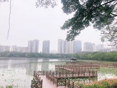 -南宁南湖公园
