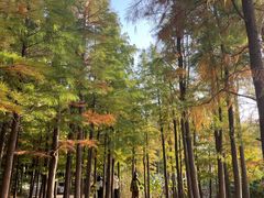 -云龙湖旅游景区