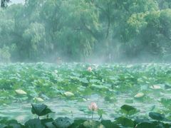 -北陵公园