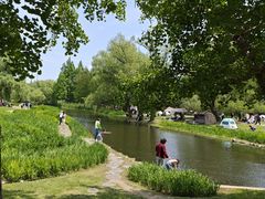 -上海共青森林公园