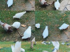 -玄武湖景区-情侣园游乐场