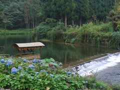 -龙苍沟森林公园