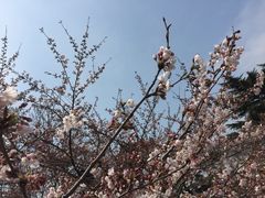 -王记西鎮电烤肉(汶上路店)