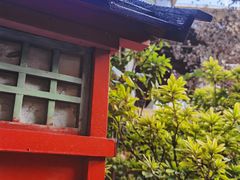 -翠湖里(翠湖南路店)