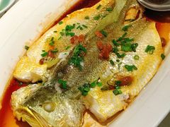 -维园悦谱·海派家常菜(乌鲁木齐南路店)