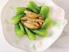 -爱月宝月嫂·育儿嫂(哈尔滨总店)