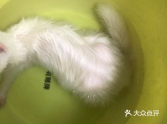 我的小家伙进来享受起来泡在水里不肯出来了