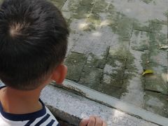 -长廊欢乐园