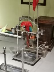 -未来动物城动物主题公园(大悦城店)