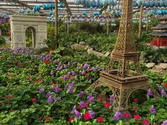 -南宫五洲植物乐园