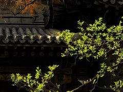-常家庄园