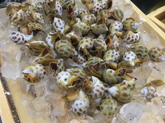 -七鲜渔港美食餐厅(巽寮湾海景店)