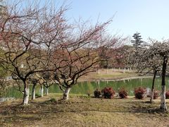 -白塘生态植物园