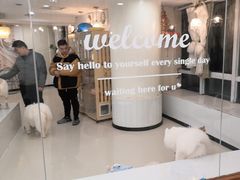 -共舞时光猫咖·狗咖(新街口店)