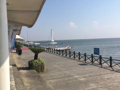 -碧海金沙