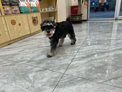 -芭比堂动物医院·24小时·眼科中心(深圳中心)